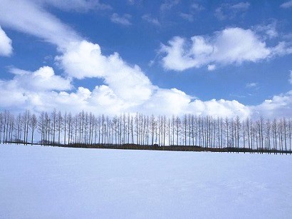 2024年02月―今年、最初の雪の華を ２人寄り添って 眺めているこの瞬間に シアワセがあふれだす